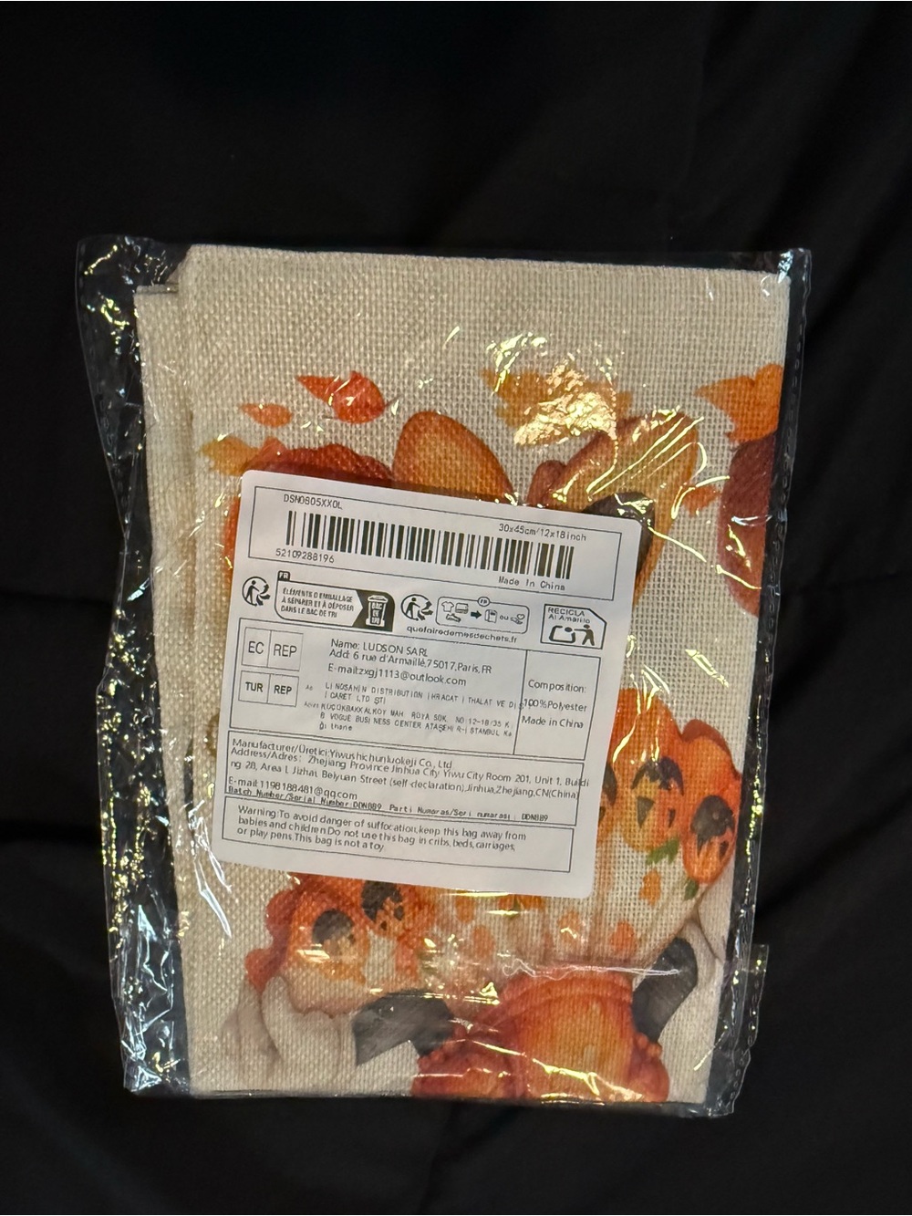 Fall Mickey & Minnie Flag - Picture 7 of 8